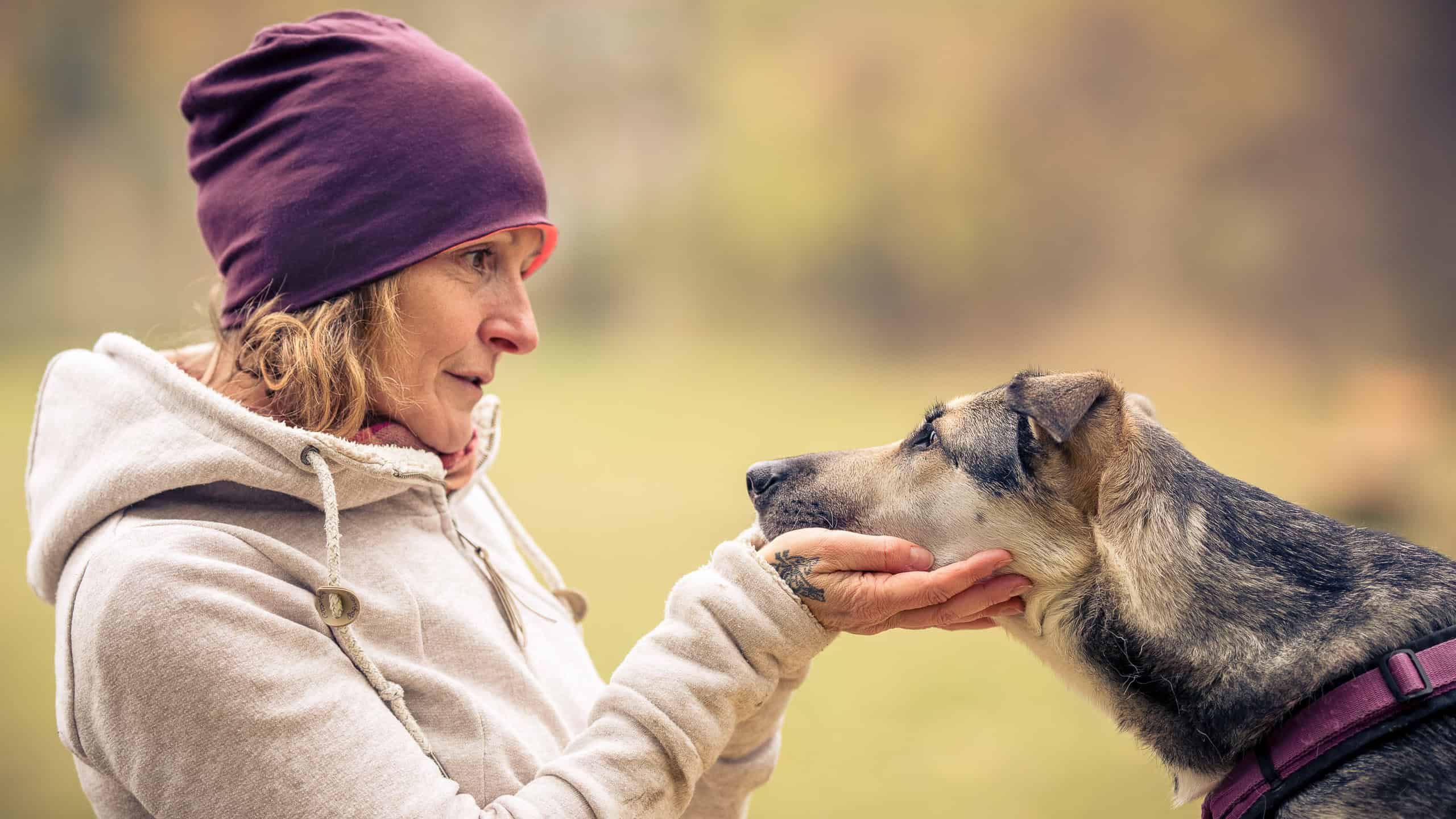 Hundebegegnungen - Hundegeschichten