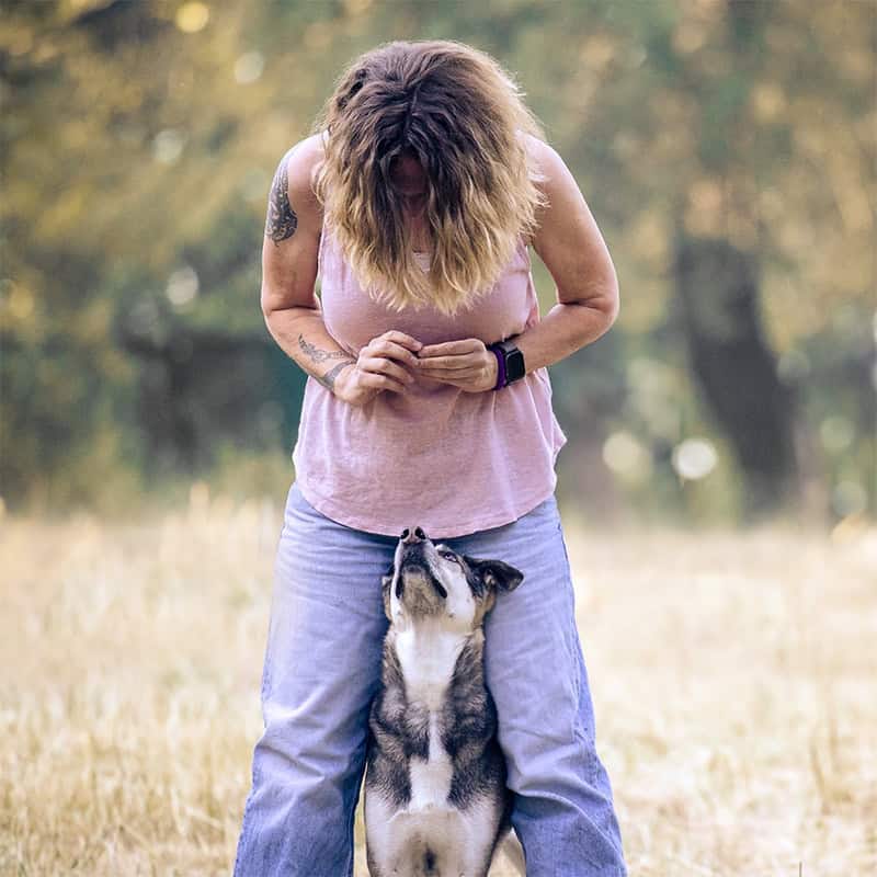 Intensivbetreuung für deinen Tierschutzhund